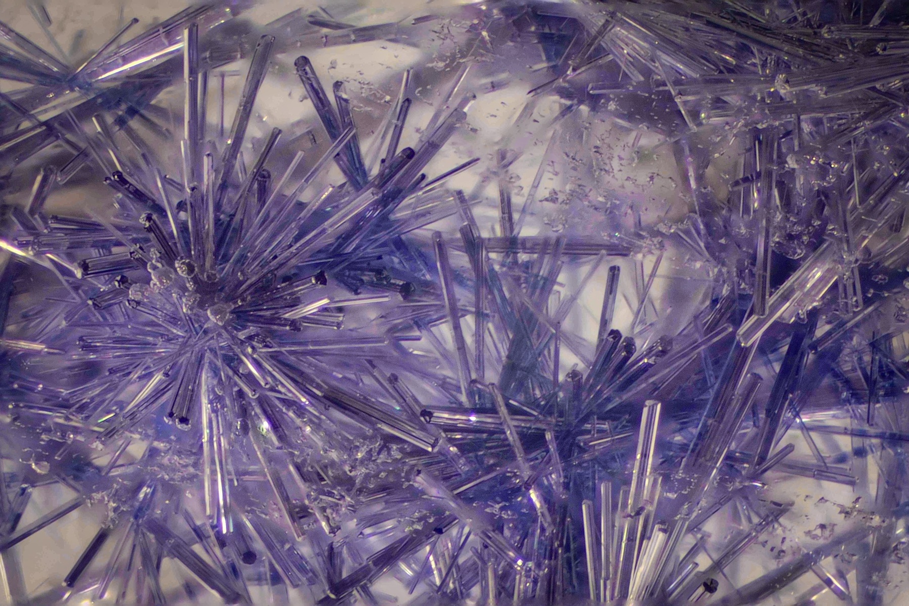 Gem-A 2025 年「年度攝影師大賽」寶石顯微攝影