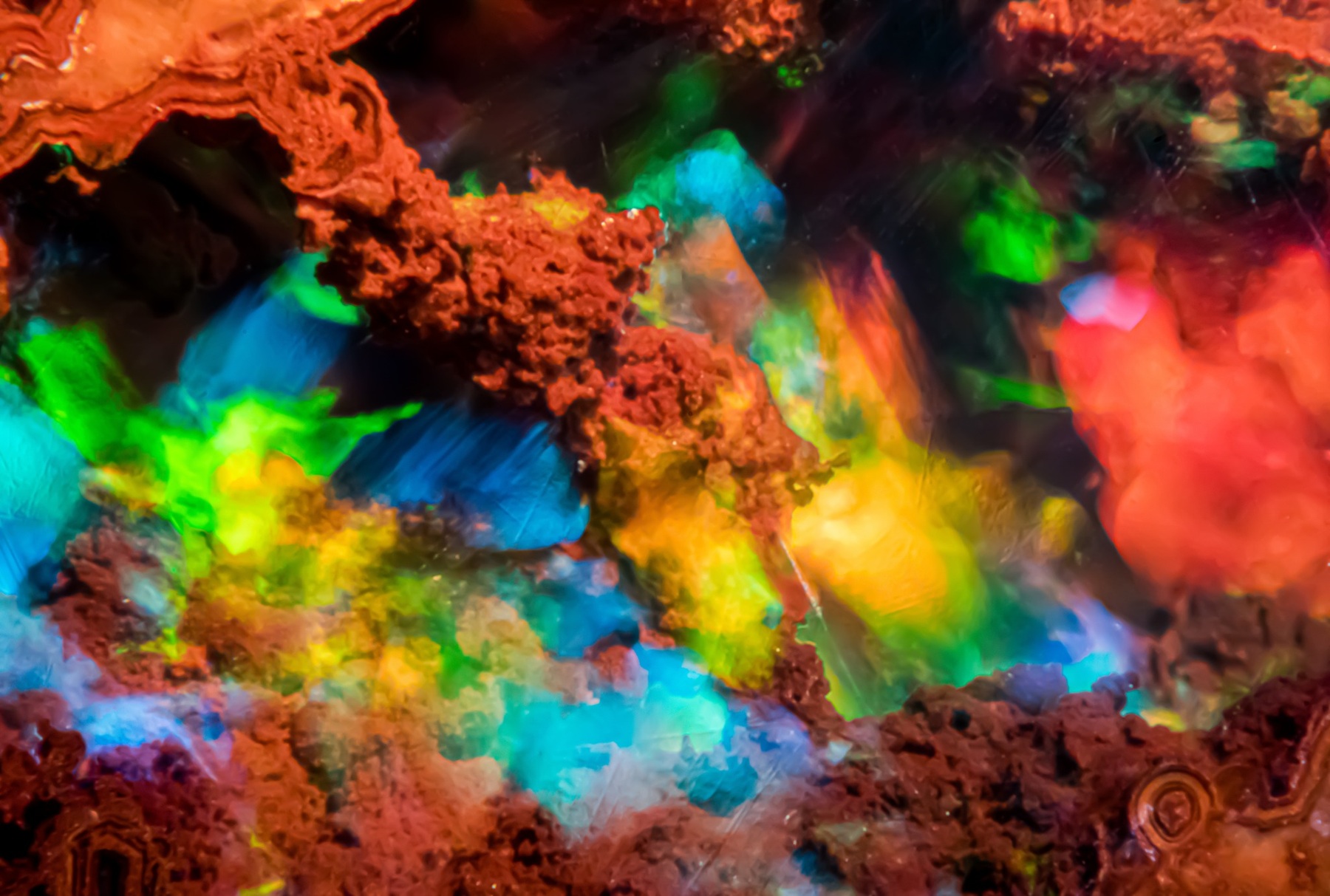 Gem-A 2025 年「年度攝影師大賽」寶石顯微攝影