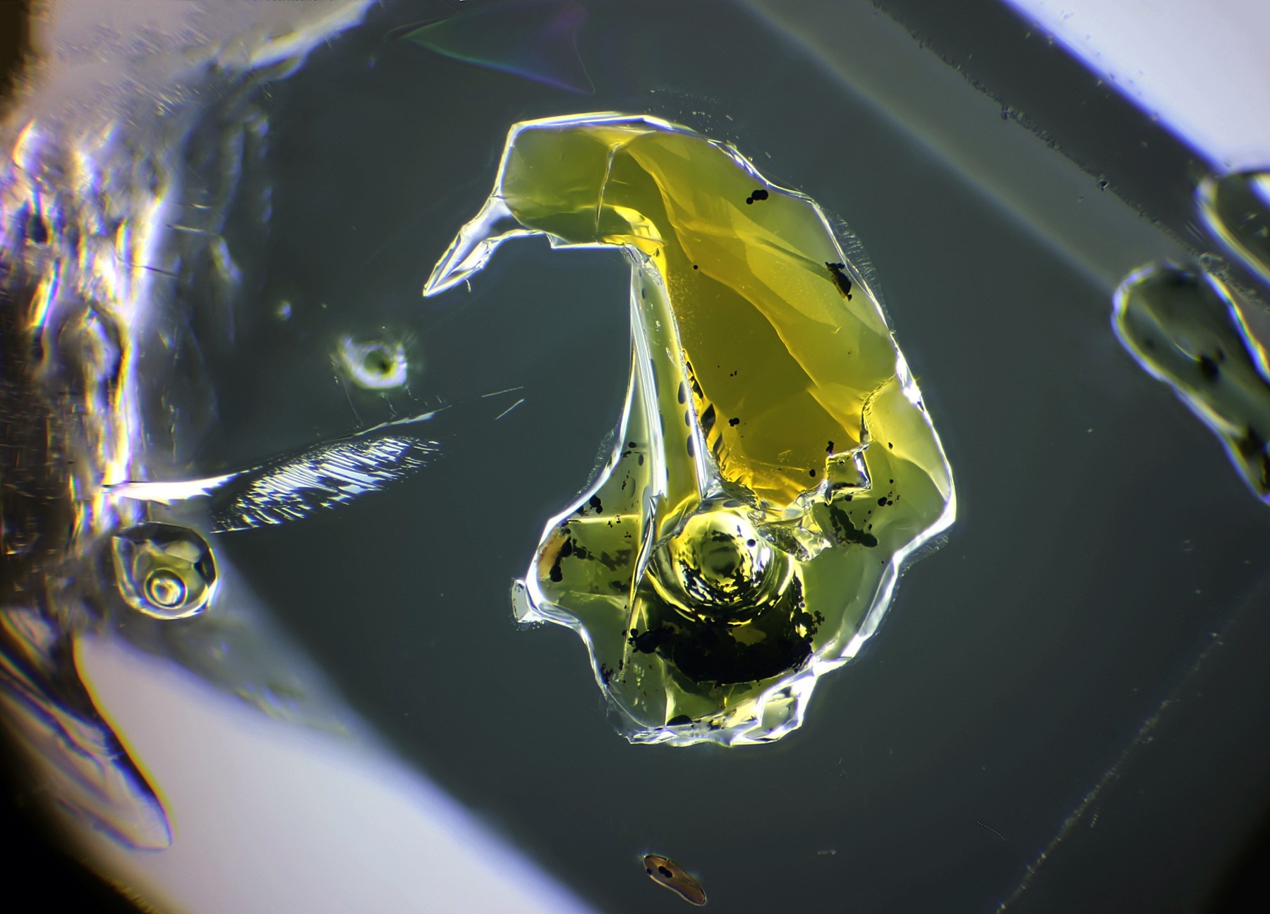 Gem-A 2025 年「年度攝影師大賽」寶石顯微攝影